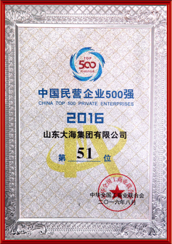 2016中國民營企業(yè)500強